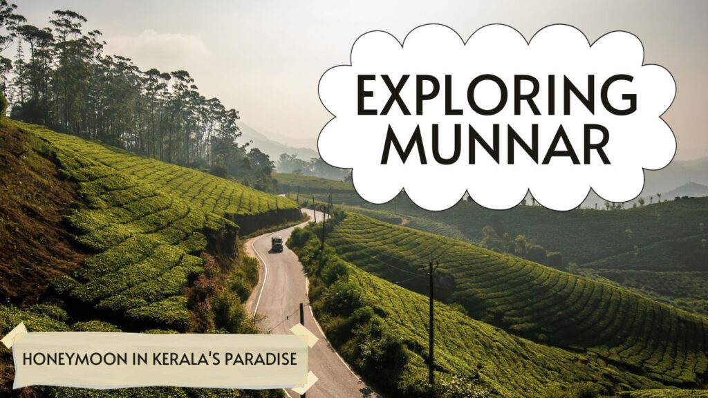 Exploring Munnar : 6 Reasons to Honeymoon in Kerala's Paradise