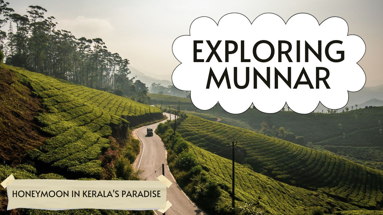 Exploring Munnar : 6 Reasons to Honeymoon in Kerala’s Paradise