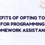 Benefits of Opting to Pay for Programming Homework Assistance